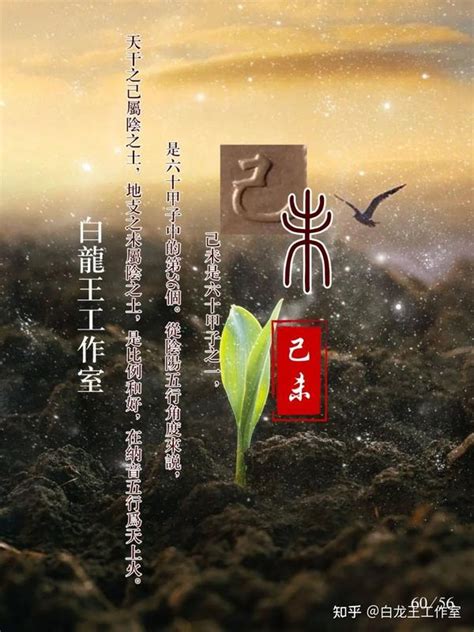 己土2023|2023癸卯桃花年，己土人心態/運勢分析